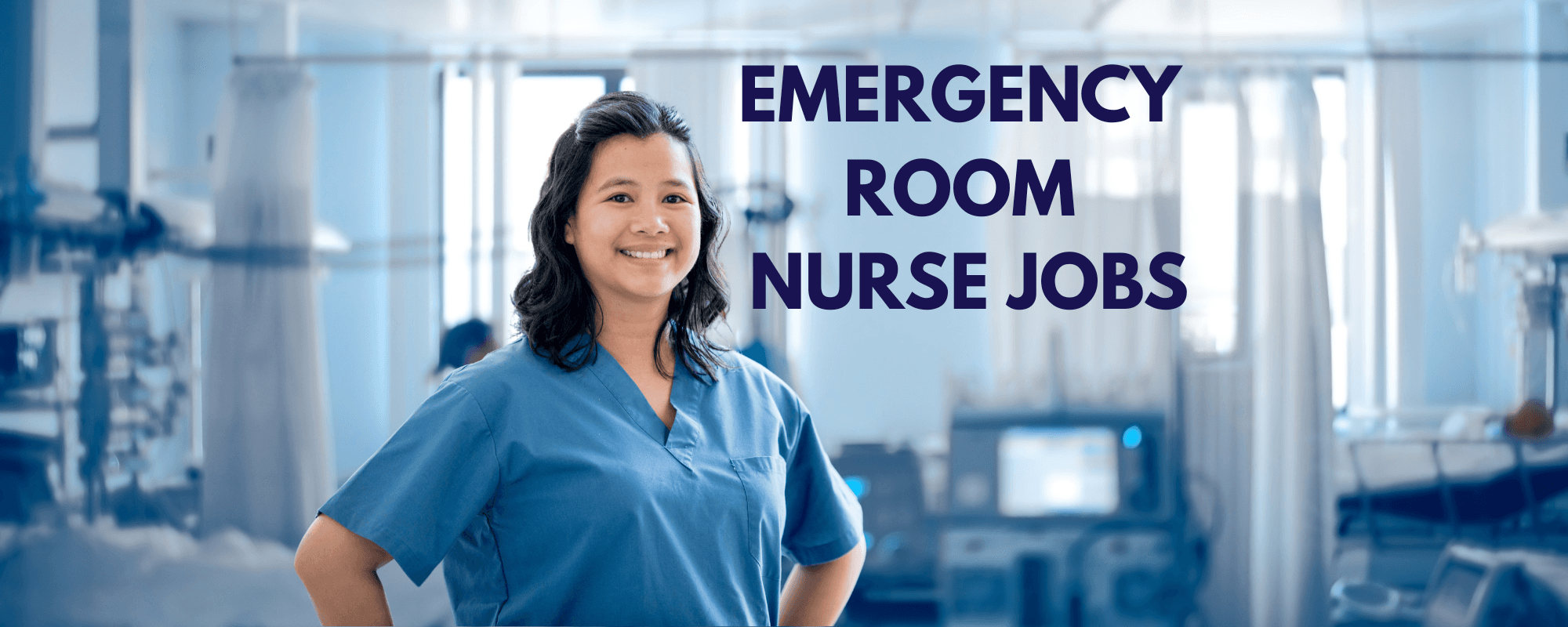 ER Nurse Resume Sample
